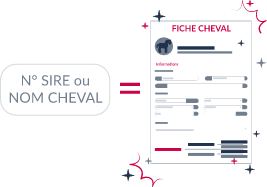 Importez les données SIRE de vos chevaux