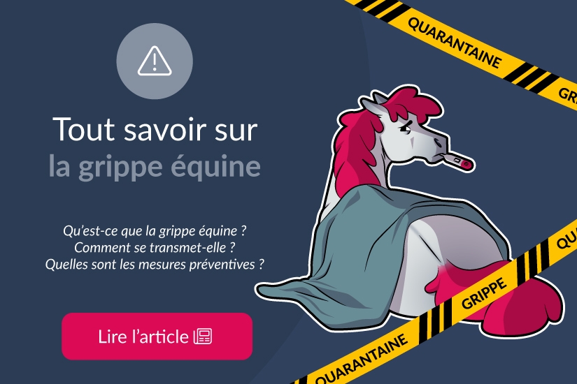 Tout savoir sur la grippe équine !