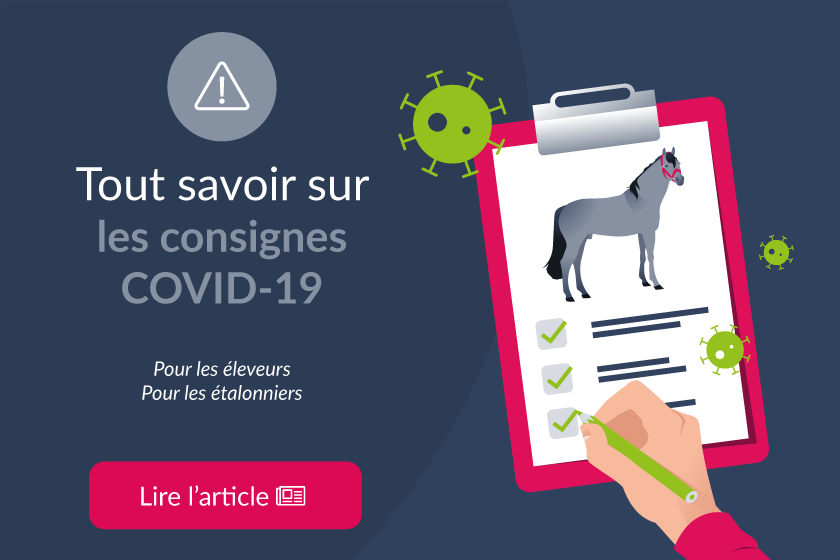 COVID-19 - Consignes pour les Eleveurs et Etalonniers