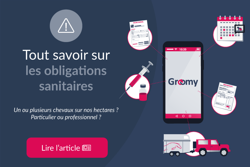Tout savoir sur les obligations sanitaires en tant que détenteur d'équidés !