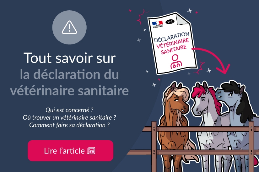 Tout savoir sur la déclaration du vétérinaire sanitaire