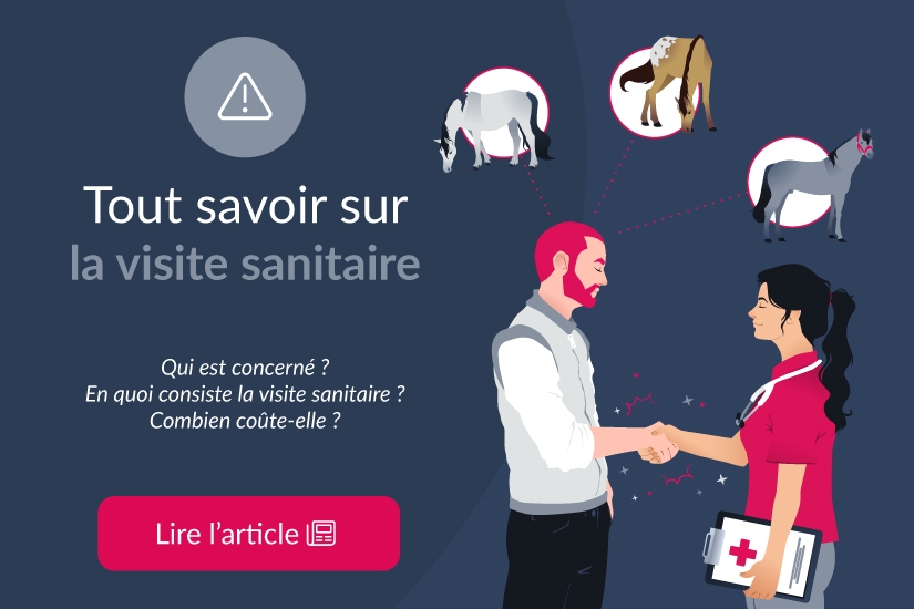 Tout savoir sur la visite sanitaire obligatoire dès 3 équidés