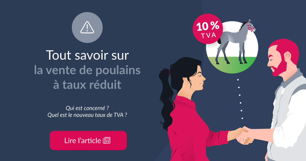 Tout savoir sur la vente de poulains à taux réduit