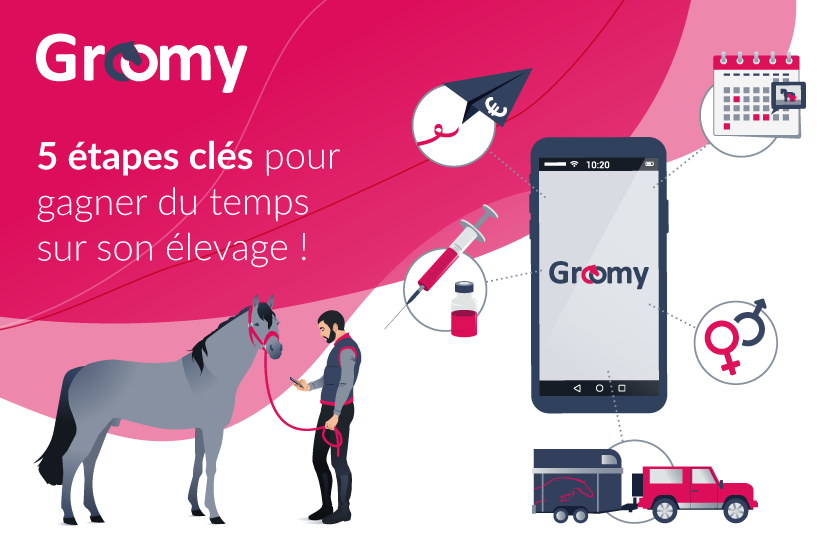 5 étapes clés pour gagner du temps sur son élevage