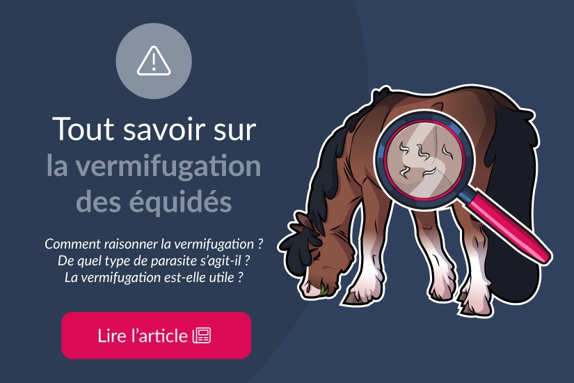 Tout savoir sur la vermifugation des équidés