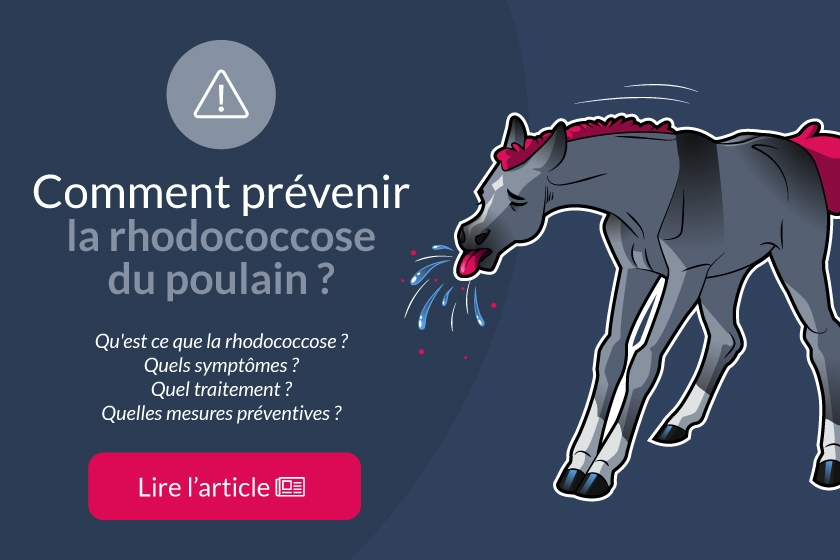 Comment prévenir la Rhodococcose du poulain ?