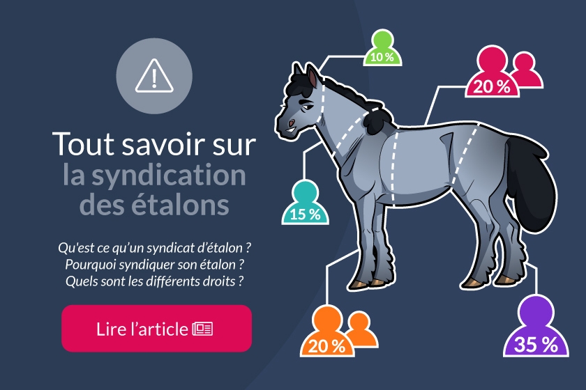 Comprendre la syndication des étalons !