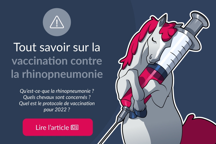 Tout savoir sur les nouveaux protocoles de vaccination contre la rhinopneumonie en 2022