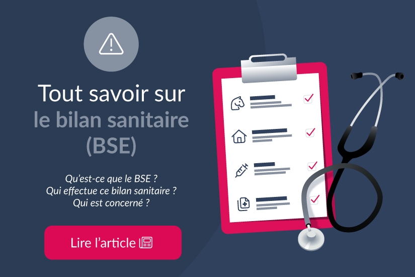 Tout savoir sur le bilan sanitaire (BSE)