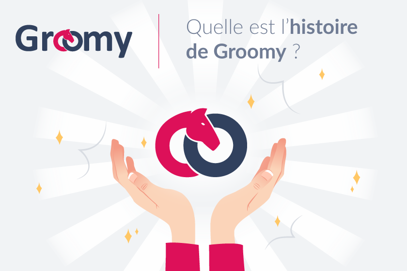 L'histoire de Groomy