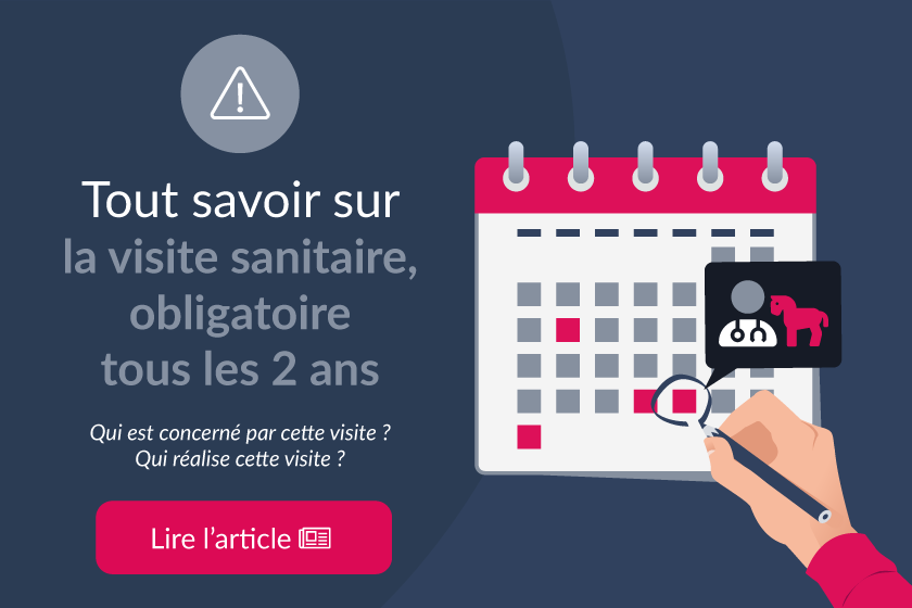 La visite sanitaire équine est-elle obligatoire ?