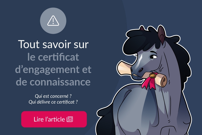Tout savoir sur le certificat d'engagement et de connaissance