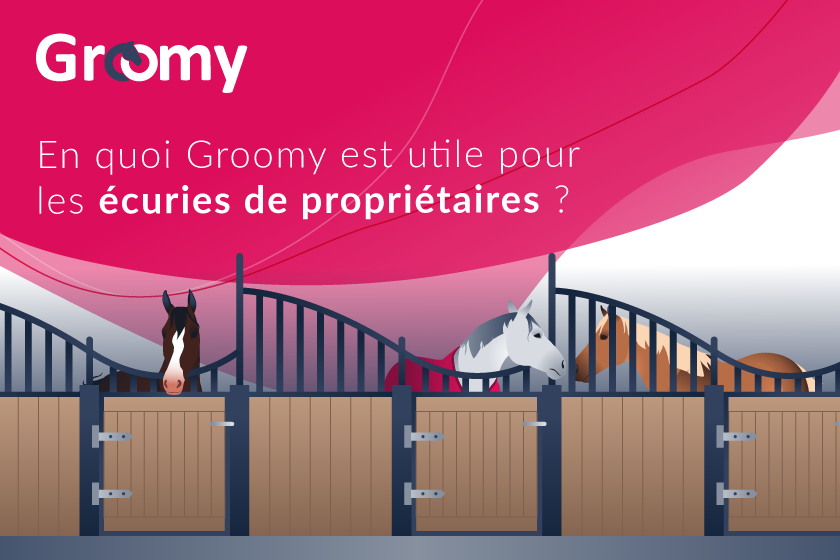 En quoi Groomy est utile pour les écuries de propriétaires ?