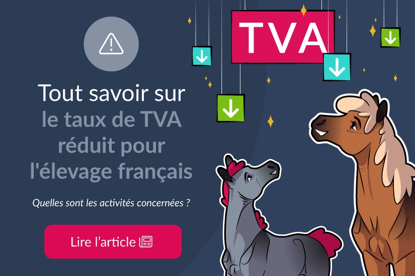 Tout savoir sur le taux de TVA réduit pour l'élevage français