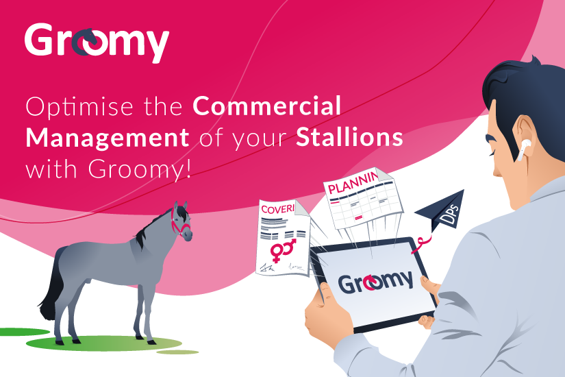 Optimise the Commercial Management of your Stallions with Groomy