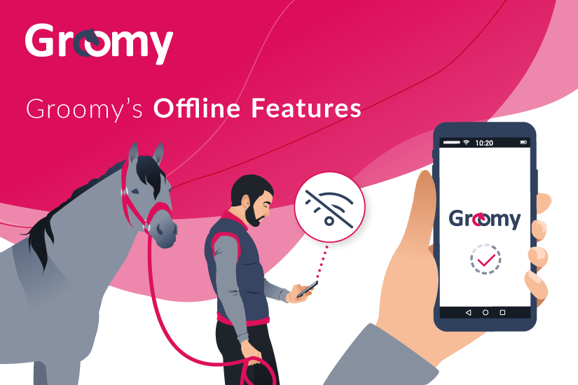 Groomy Offline Mode: Manage Your Horses Without Internet