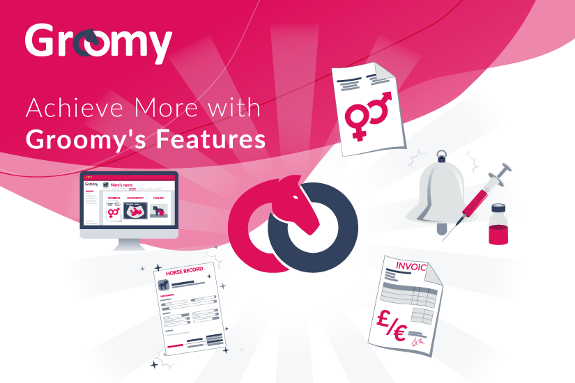 Achieve More with Groomy's Features