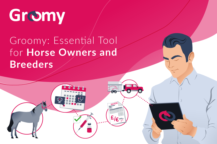 Groomy: Essential Tool for Horse Owners and Breeders
