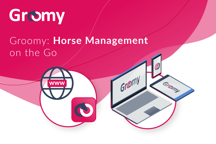 Groomy: Horse Management on the Go