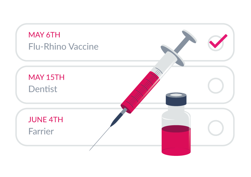 Horses Vaccines and booster shots